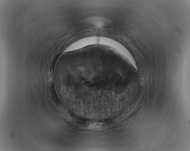 X0000115120471200911101630