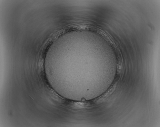 X0000115120473200911101630