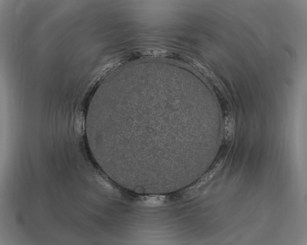X0000115120474200911101630