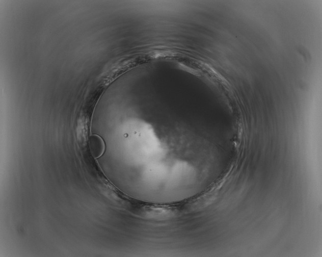 X0000115120475200911101630