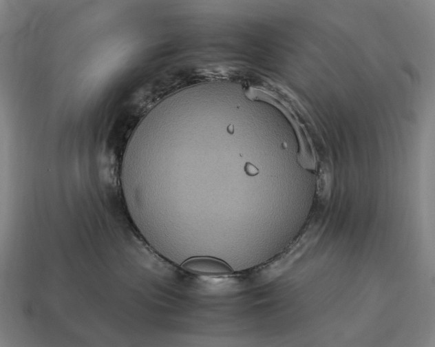 X0000115120477200911101630