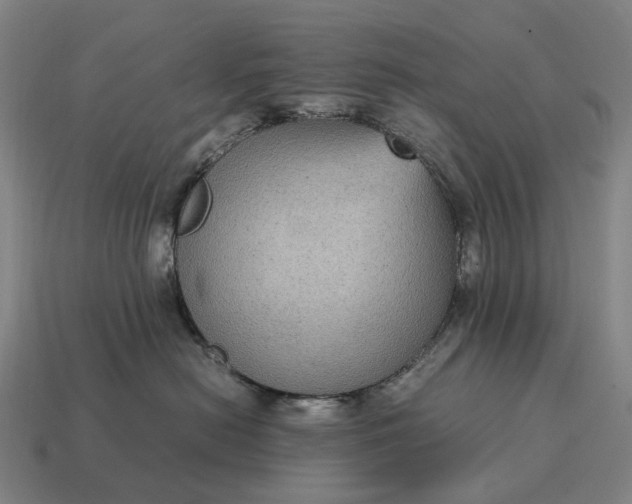 X0000115120478200911101630