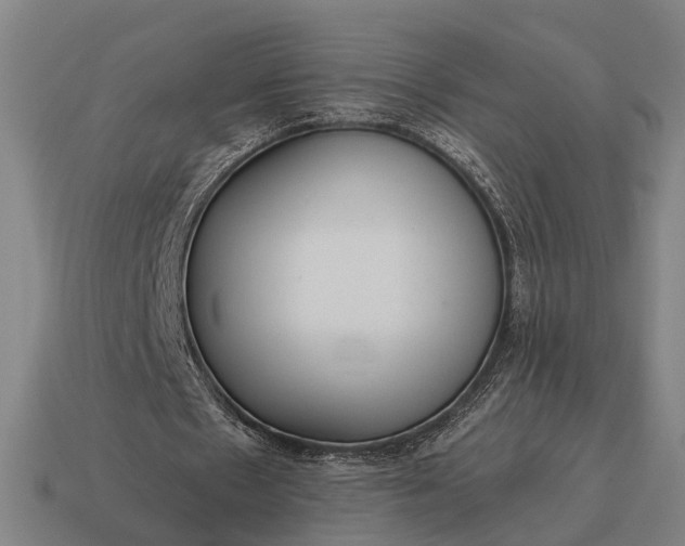 X0000115120481200911101629