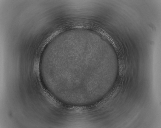 X0000115120482200911101629