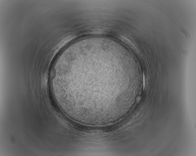 X0000115120483200911101629