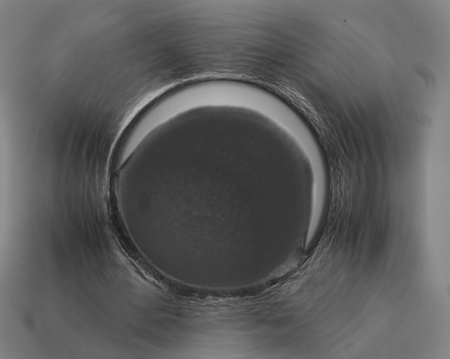 X0000115120484200911101629