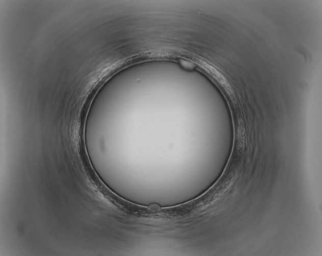 X0000115120485200911101629