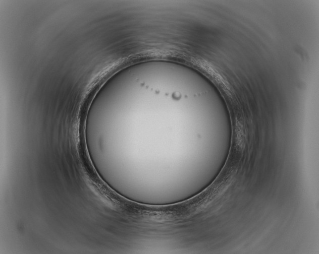 X0000115120486200911101629