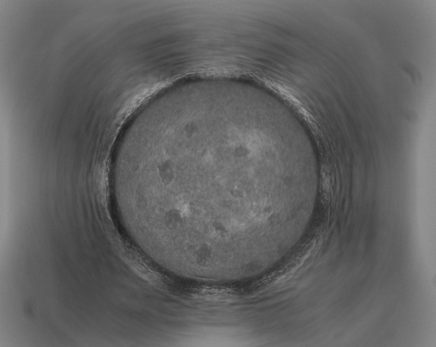 X0000115120487200911101629