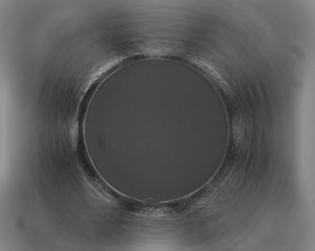 X0000115120488200911101629