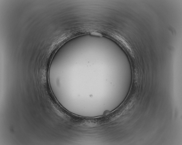 X0000115120489200911101629