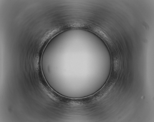 X0000115120490200911101629