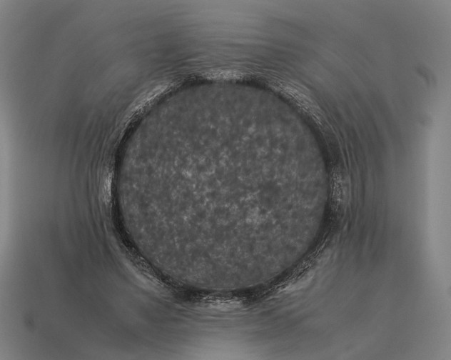 X0000115120491200911101629