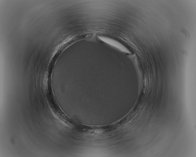 X0000115120492200911101629