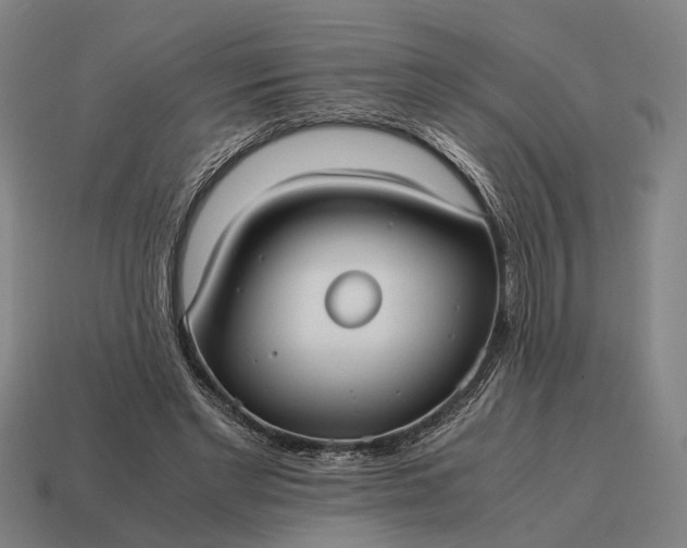 X0000115120493200911101629