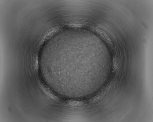 X0000115120494200911101629