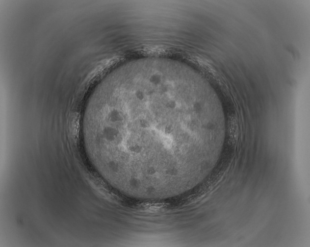 X0000115120495200911101629