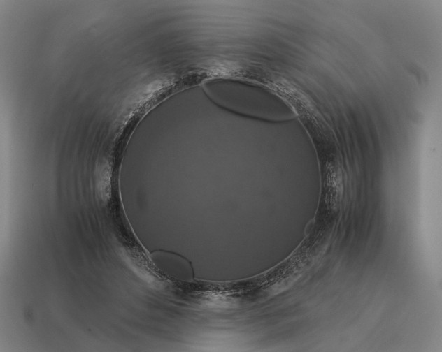 X0000115120496200911101629