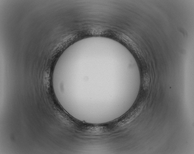 X0000115120497200911101629