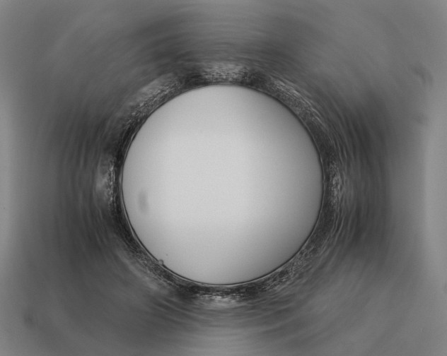 X0000115120498200911101629