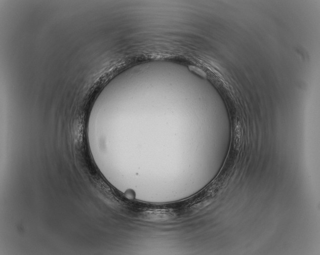 X0000115120499200911101629