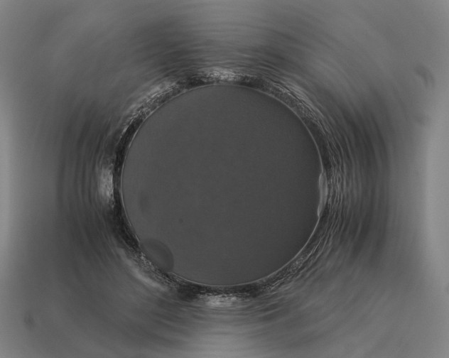 X0000115120500200911101629