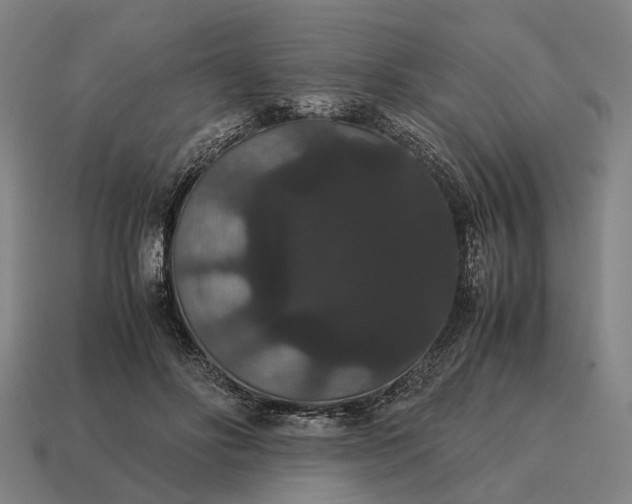 X0000115120502200911101629