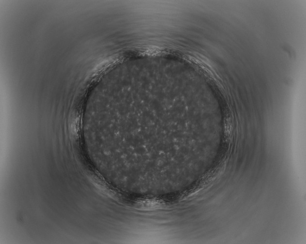 X0000115120503200911101629