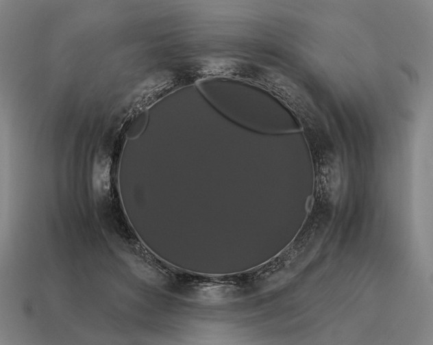 X0000115120504200911101629