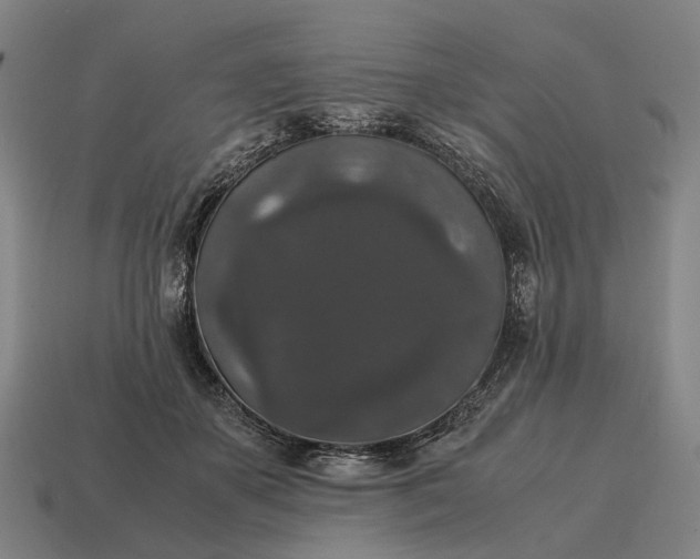 X0000115120507200911101629