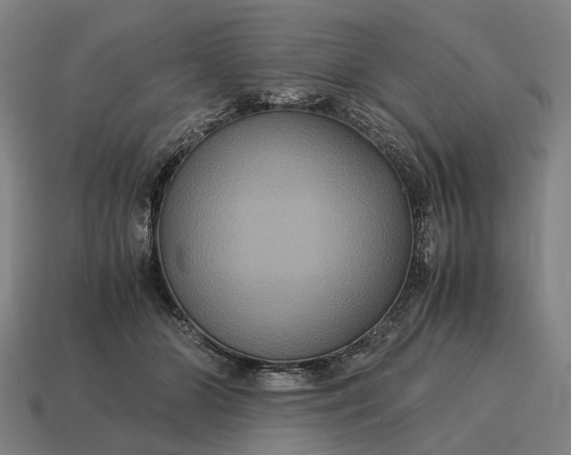 X0000115120510200911101629