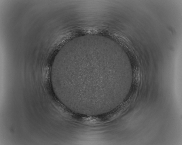 X0000115120511200911101629