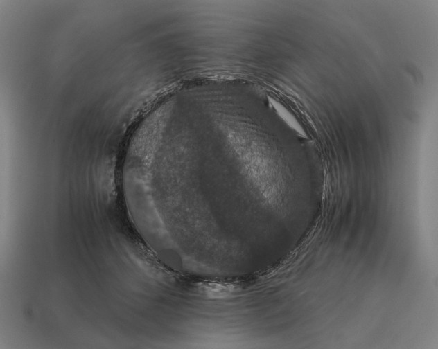 X0000115120512200911101629