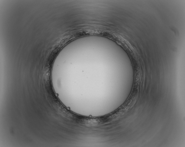 X0000115120513200911101629