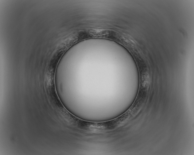 X0000115120515200911101629