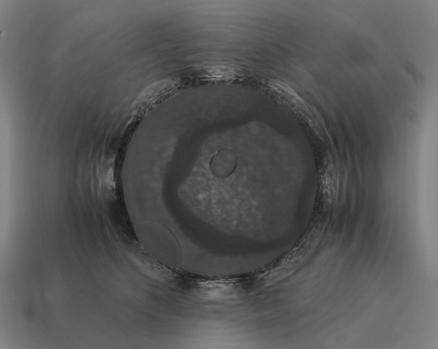 X0000115120516200911101629