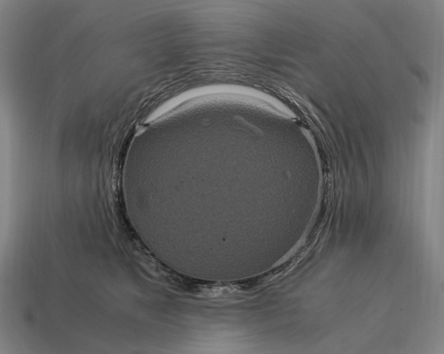 X0000115120517200911101629