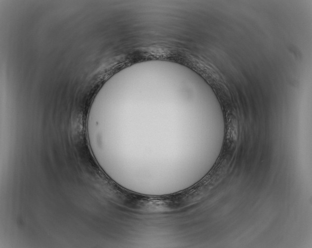 X0000115120518200911101629