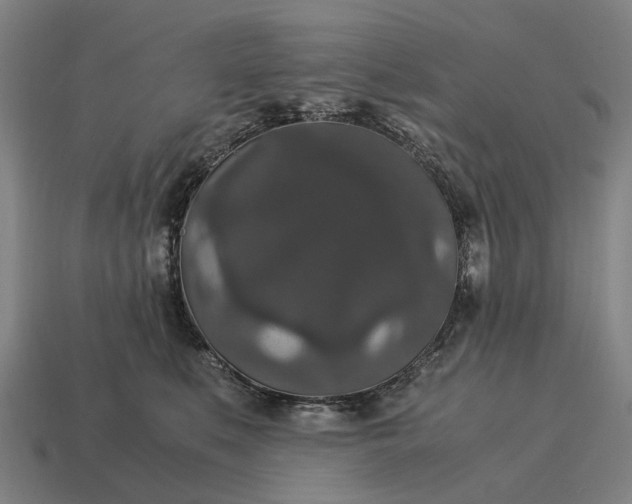 X0000115120519200911101629