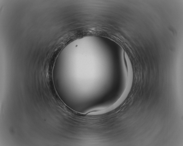 X0000115120520200911101629