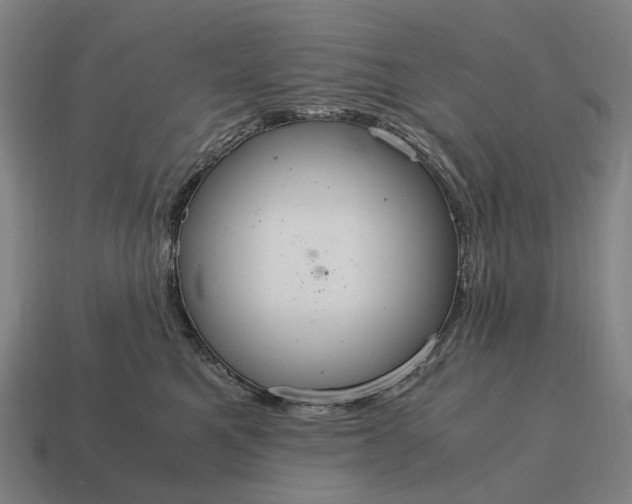 X0000115120521200911101629