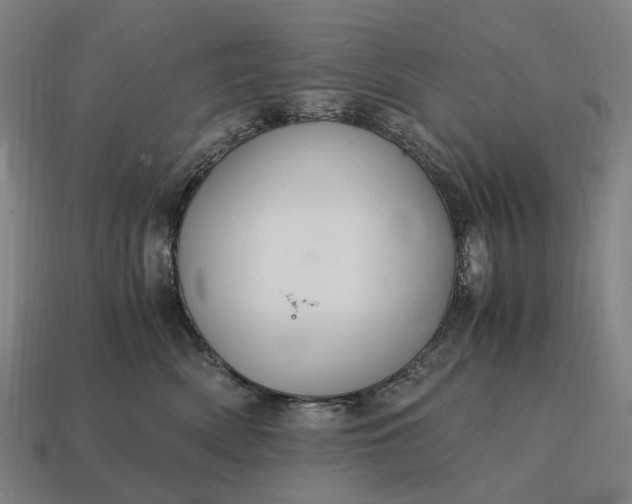 X0000115120522200911101629