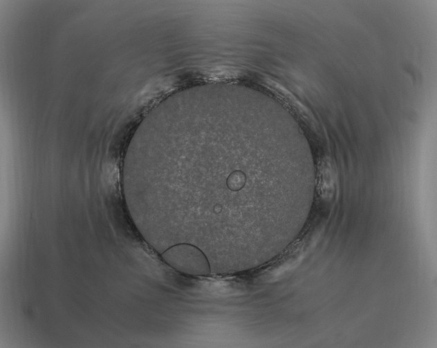 X0000115120523200911101629