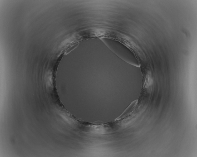 X0000115120524200911101629