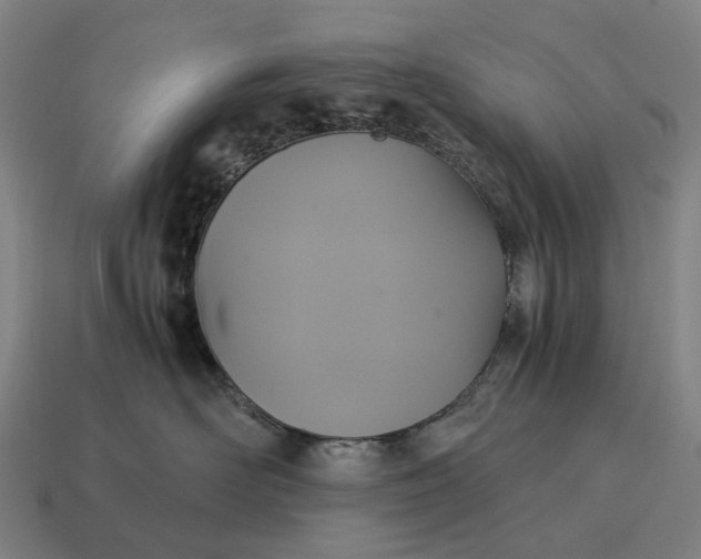 X0000115120526200911101629