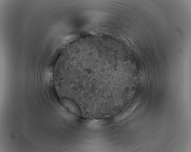 X0000115120527200911101629