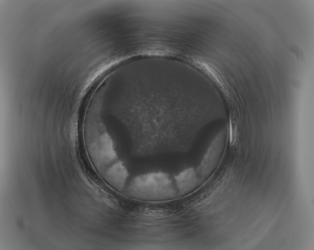 X0000115120531200911101628