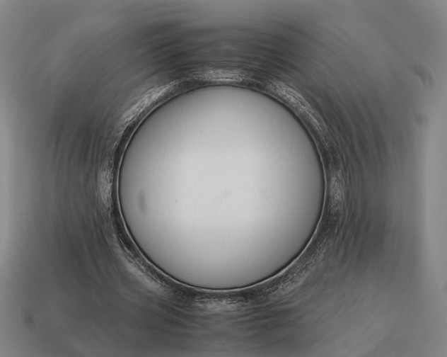X0000115120533200911101628