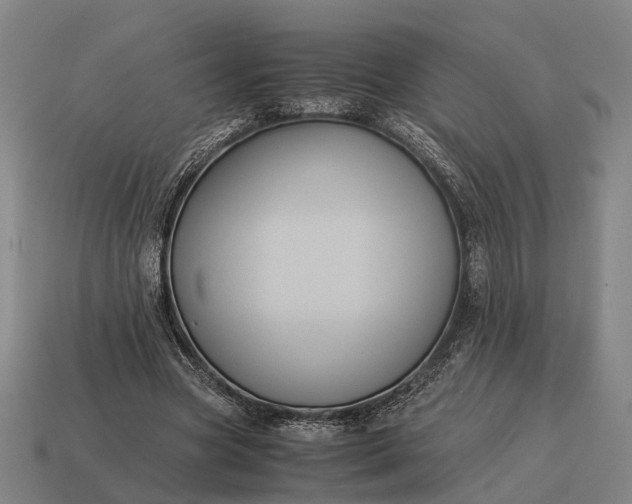 X0000115120537200911101628