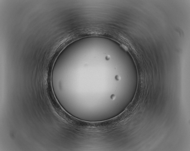 X0000115120538200911101628